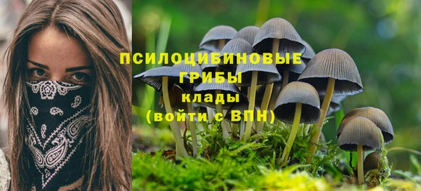 мет Белокуриха