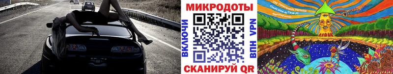 Псилоцибиновые грибы Psilocybe  продажа наркотиков  omg онион  Болгар 